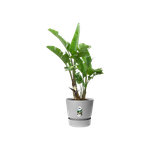 greenville rond 47cm living ciment